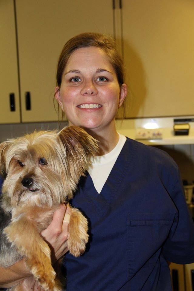 Katye Q - Certified Veterinary Technician, Certified Veterinary Technician Team Leader